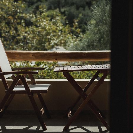 Acropolis Mystra Guesthouse Mystras Ngoại thất bức ảnh